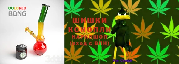 дмт Магас
